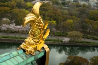 Vistas desde el Palacio de Osaka